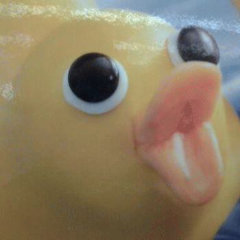 Sloth (USA-2) : Best Vacation Ever 5